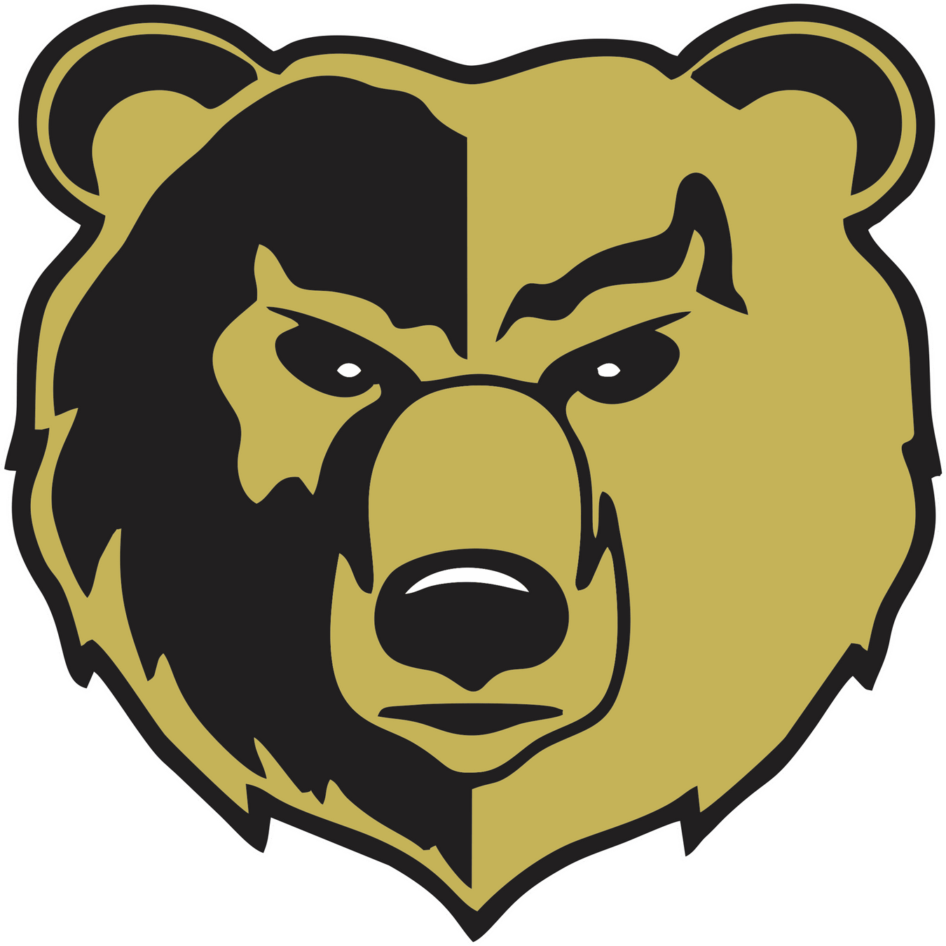 Mayo High Golden Bears