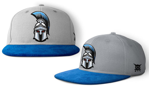 Titans - Snapbacks-DaPrintFactory