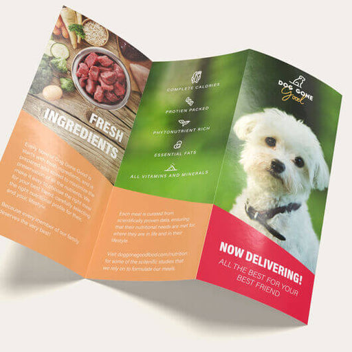 Brochure Designs-DaPrintFactory